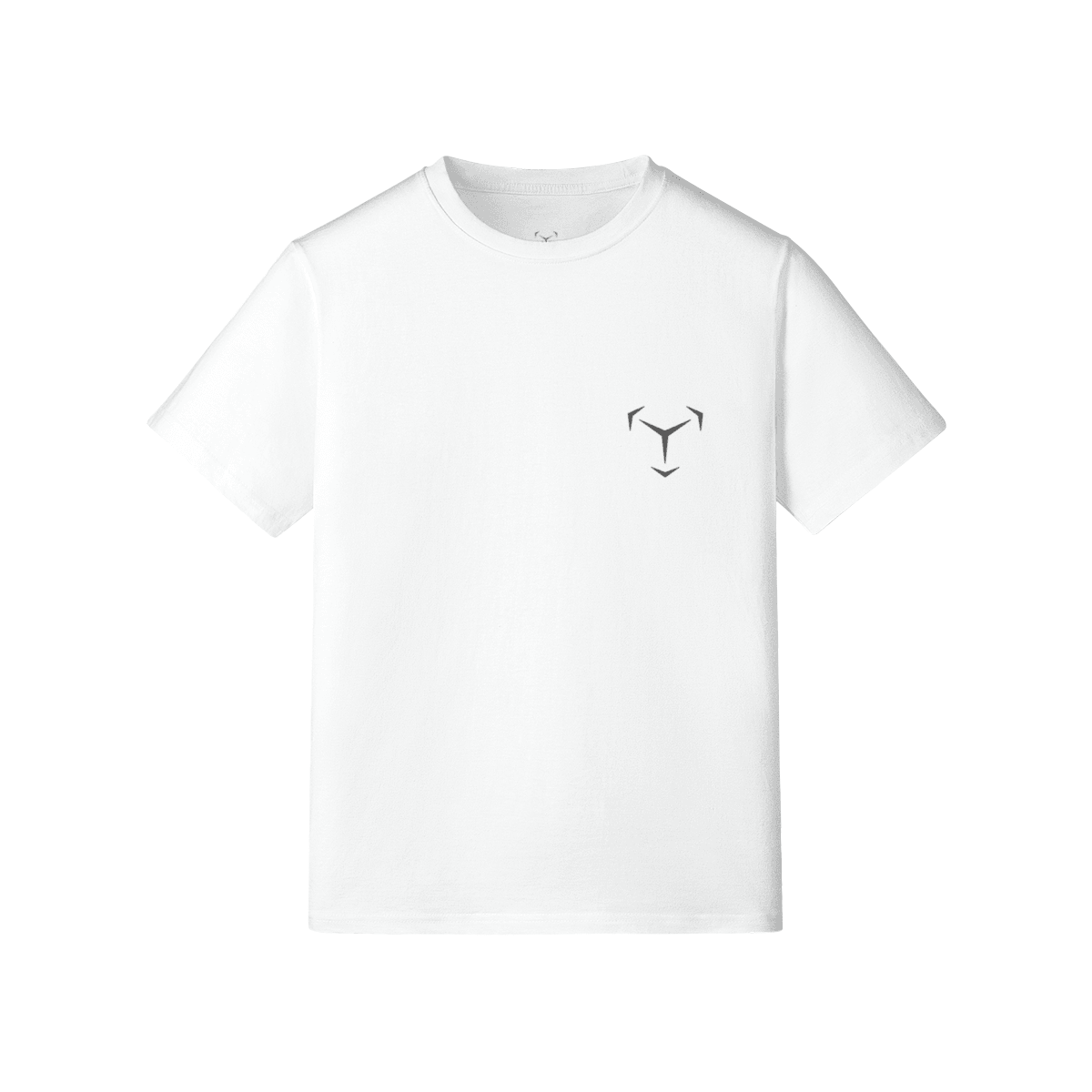 417643-Y06-Front Side