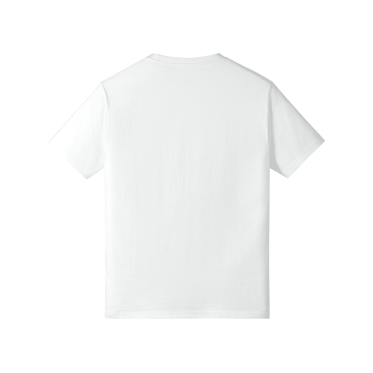 417643-Y06-Back Side